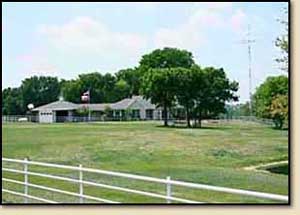Oak Bluff Ranch Outstanding AQHA horse show prospects for sale